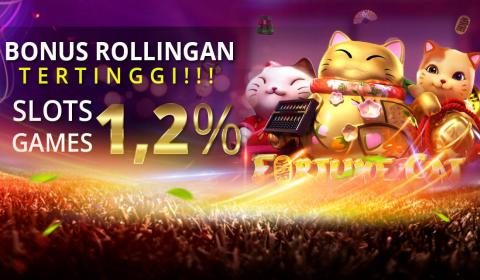 images/gallery/07slot.jpg