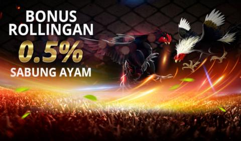 images/gallery/11sabung.jpg